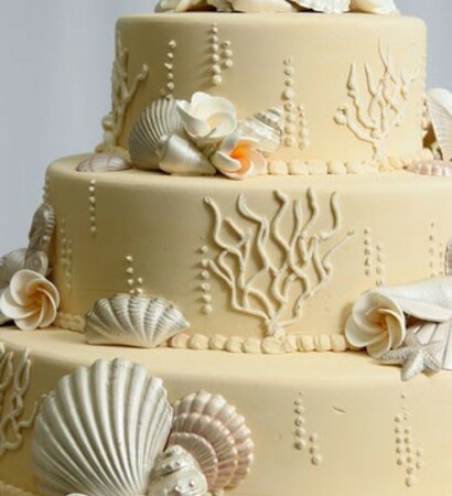 summer, shell and cake