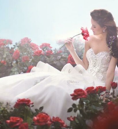 love, roses and inspiring