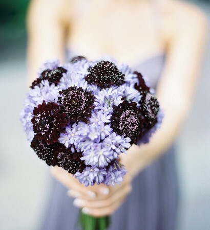 wedding flower, novia and love