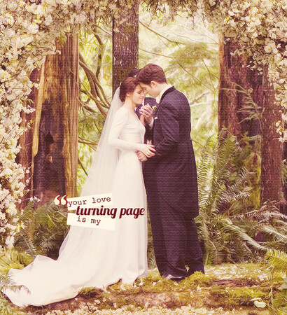 edward cullen, breaking dawn part 1 and the twilight saga