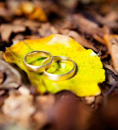 rings, cute and autumn