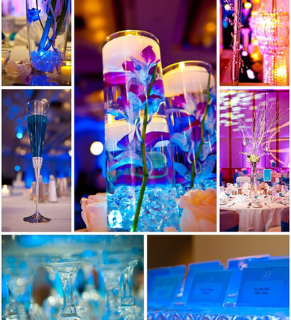 reception, themes and purple