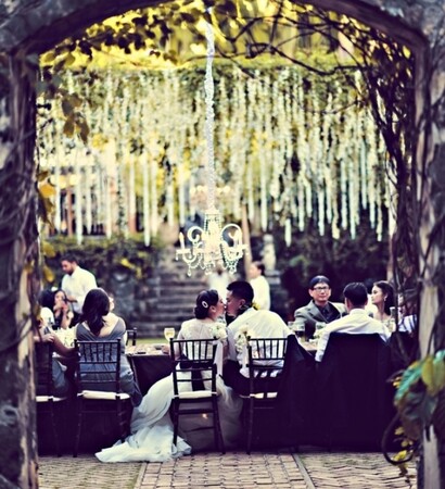forest, party and dress