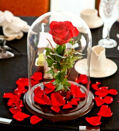 rose, disney and love