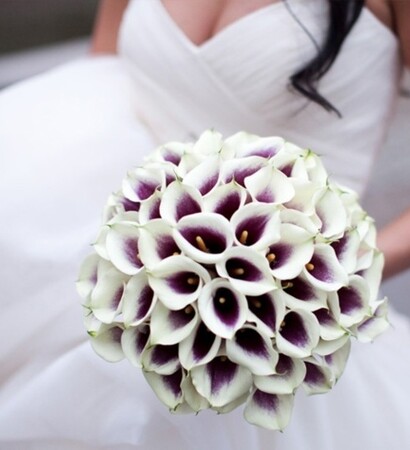 purple, bride and lilies