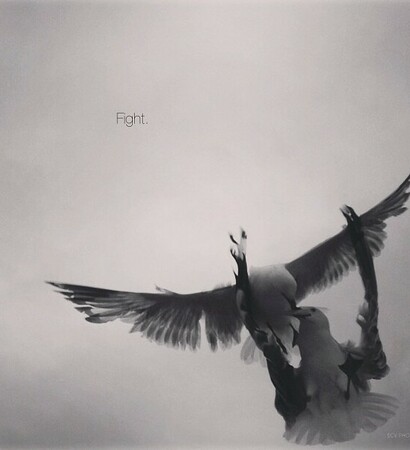 music, sky and alternative