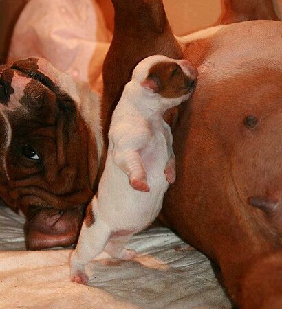 dad, boy and cute