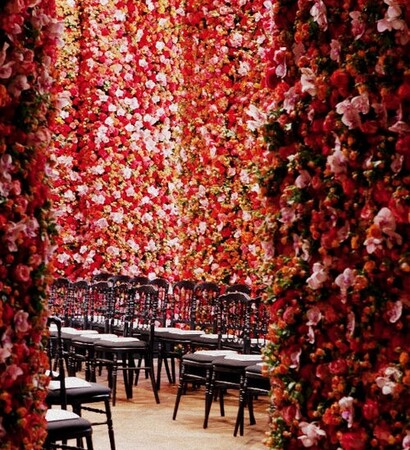 roses, interior and interiors