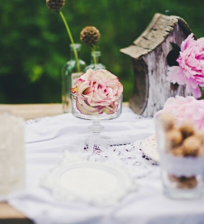 flowers, forest and nice