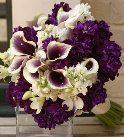bouquet, purple and purple flowers