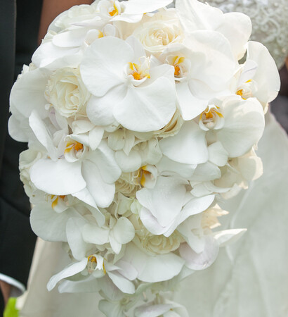 white, bouquet and flowers
