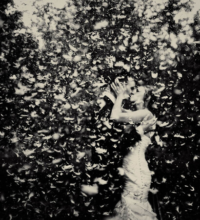 boy, forever and plumes