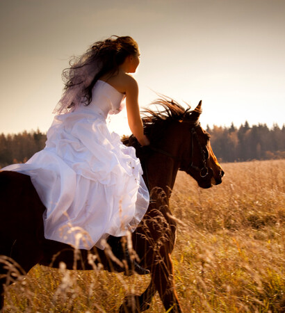 free, wild and fast