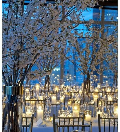 serve, lightnings and decoration