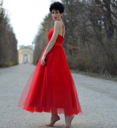 tulle dress, fashion blog and fashion