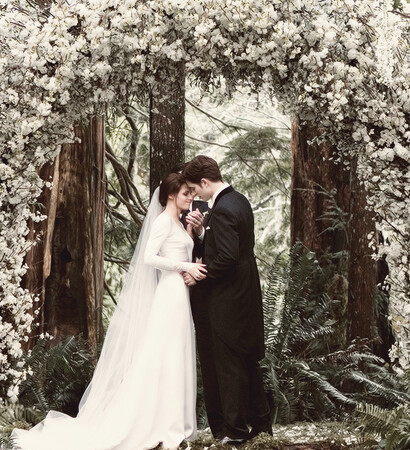 breaking dawn, sweet and romantic