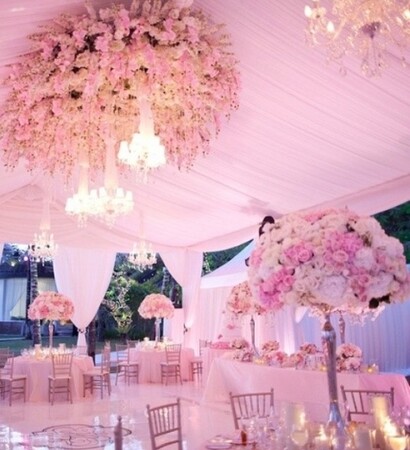 roses, marrige and lady's dream