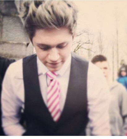one direction, we're sorry greg and niall horan