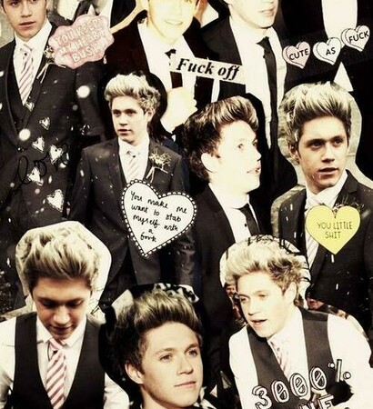 niall horan, elegant and 1d