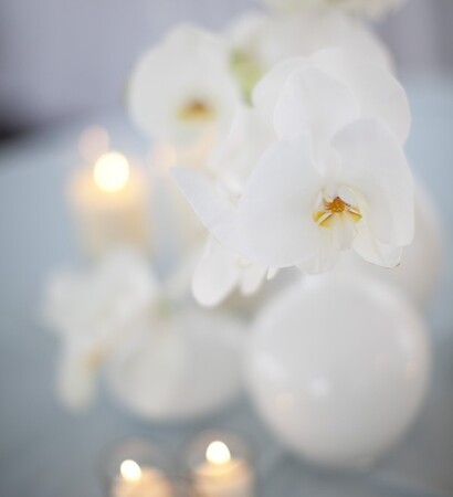 summer, party and table decor