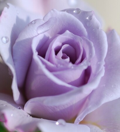 today, beautiful and blueviolet