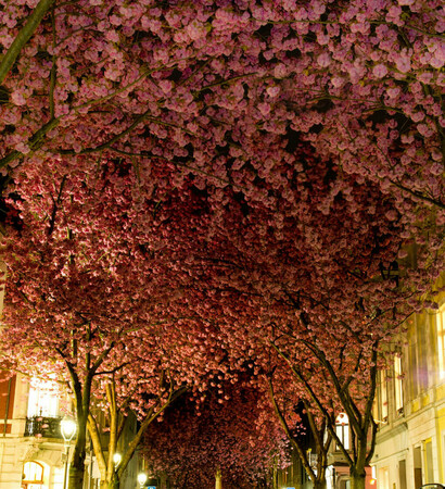 drean, pink and OMG